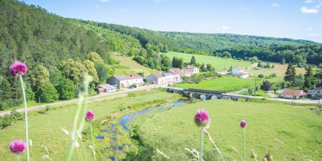 Vue du village de Circourt-sur-Mouzon depuis la pelouse calcaire