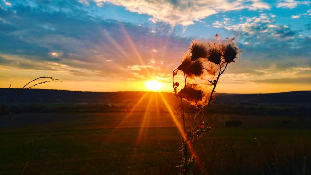 Coucher de soleil, Maxey-sur-Meuse