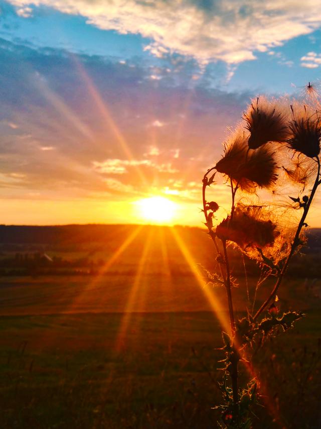 Coucher de soleil, Maxey-sur-Meuse