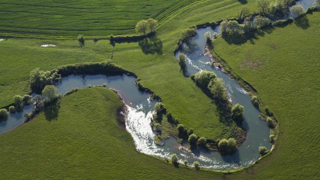 Méandre de la Meuse