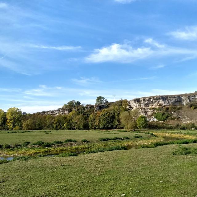 Vue de la pelouse calcaire de Circourt-sur-Mouzon