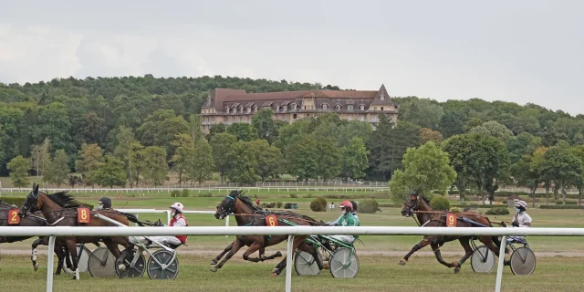 Course Hippique Hippodrome Jean Jacques Dalia Ville De Vittel 37